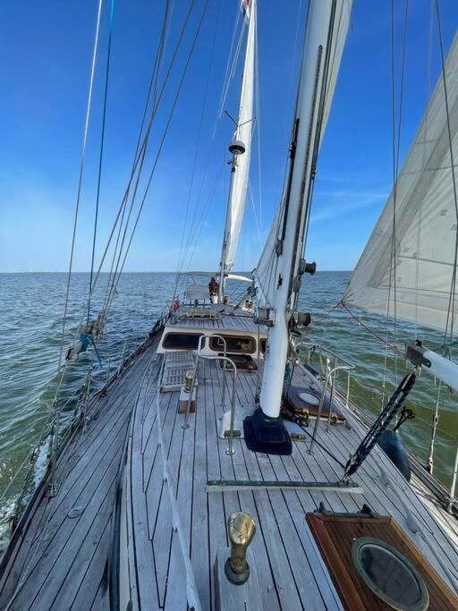Classic Sailing Ship In Center Of Enkhuizen! Экстерьер фото